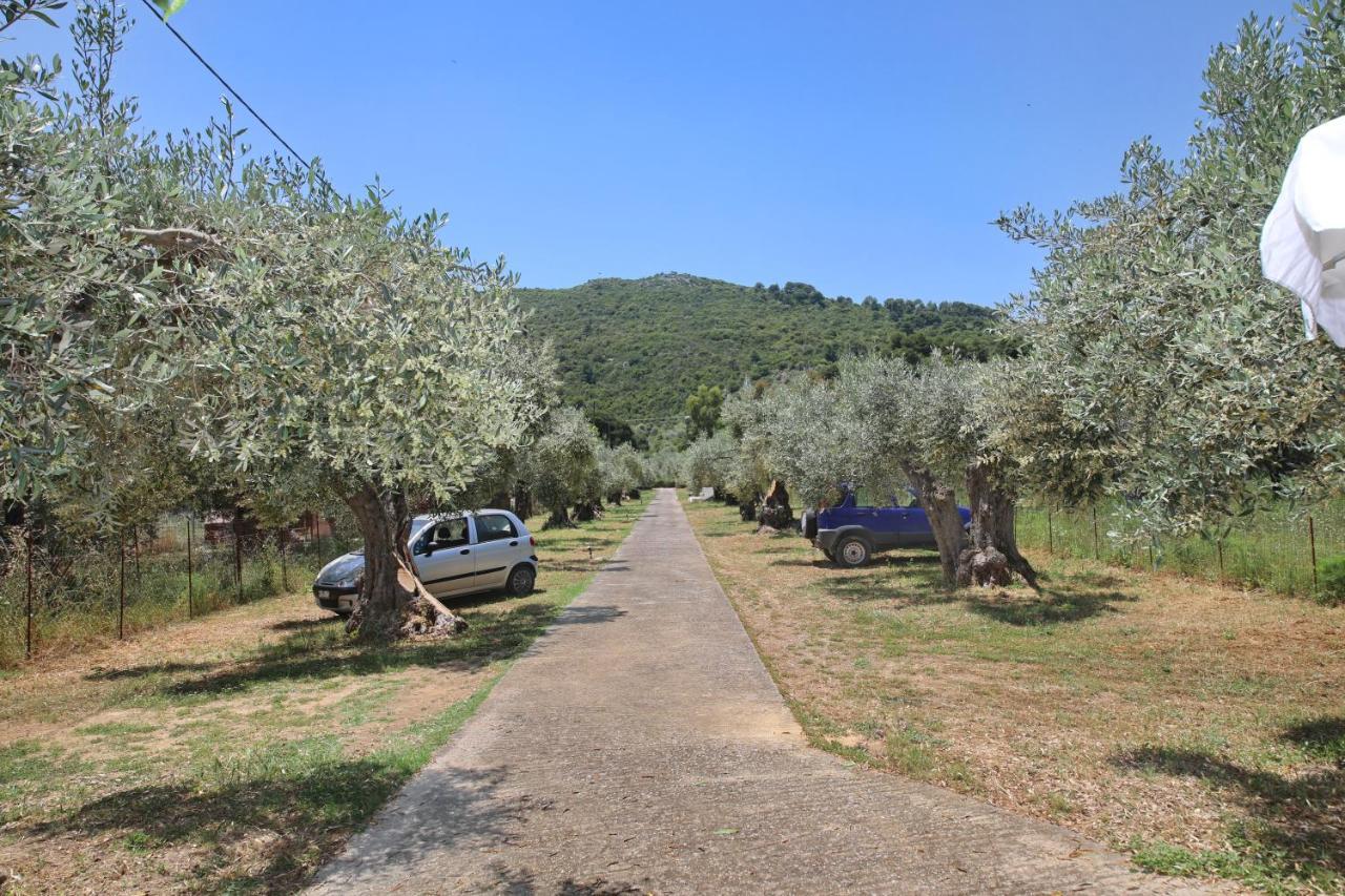 Skopelos Evergreen Apartments Stafylos Exterior foto