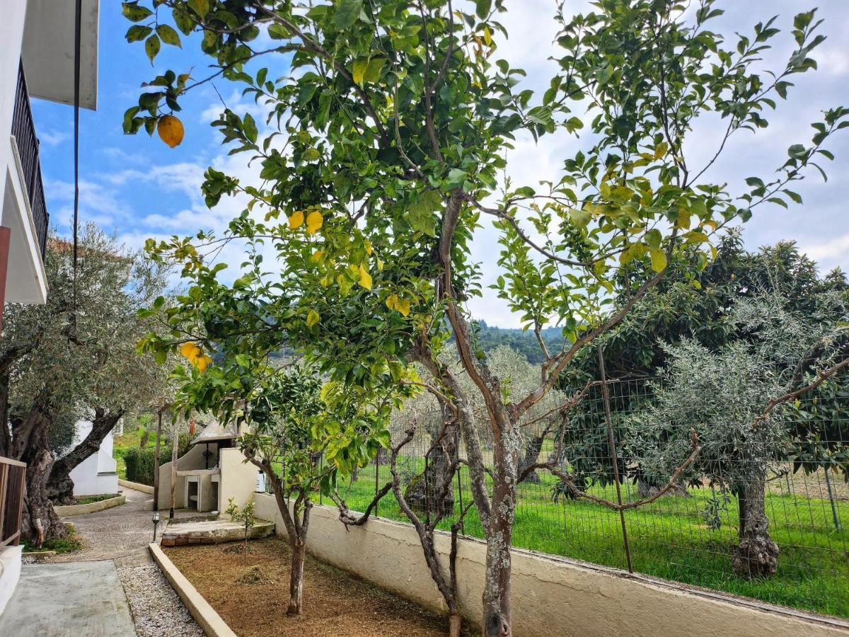 Skopelos Evergreen Apartments Stafylos Exterior foto